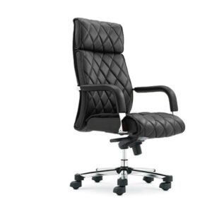 Executive Office Chair