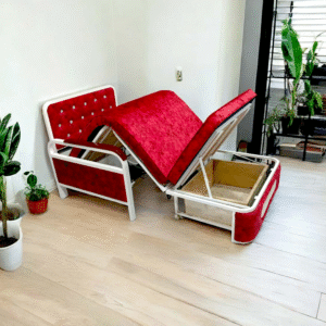 Sofa Cum Bed Single